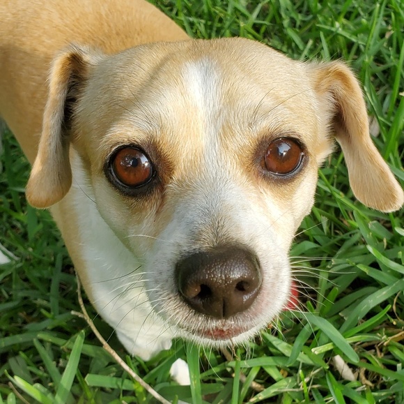 Meet your Posher, Brandon - Picture 1 of 1